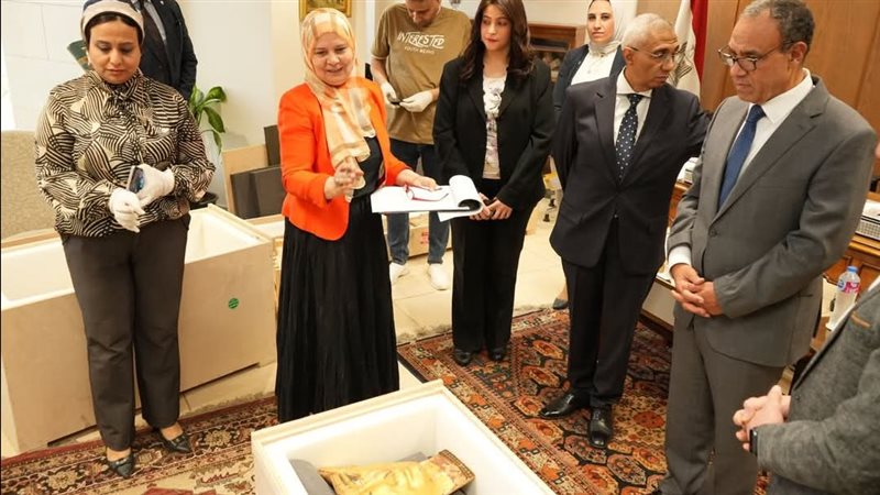 وزير الخارجية بدر عبد العاطي 