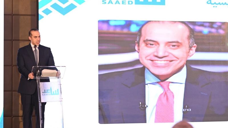 المستشار محمود فوزي 