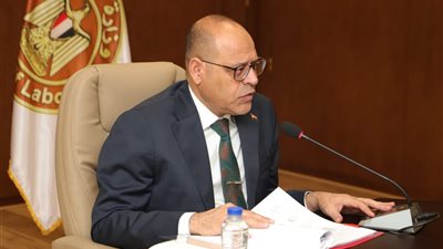 تدريبات مهنية وتوعية بالحقوق والواجبات، نشاط 5 مديريات عمل بالمحافظات