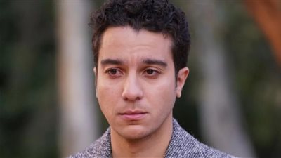 نور النبوي يطلب الصلح وتحمل تكلفة العمليات بأزمة محصل الكهرباء