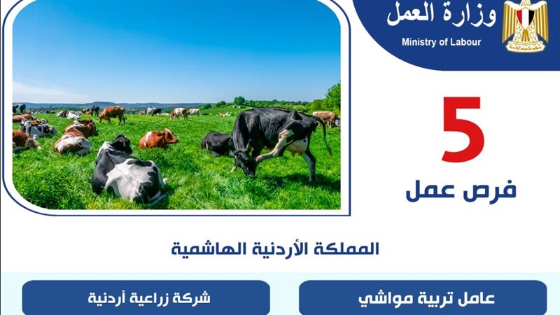وظائف جديدة