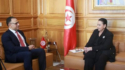 السفير المصري في تونس ووزيرة الثقافة يبحثان أنشطة التعاون الثقافي المقترحة 