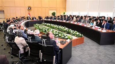 نائب رئيس الوزراء يشدد على 3 شروط للموافقة على الرخصة الذهبية