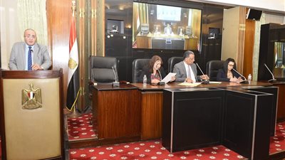 «ثقافة الشيوخ» توافق على مقترح نائب بالتنسيقية بإطلاق استراتيجية وطنية لحماية اللغة العربية