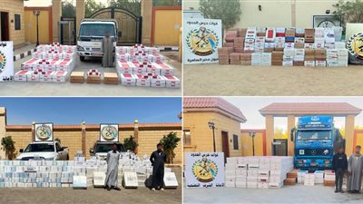 نشاط مكثف لقوات حرس الحدود على جميع الاتجاهات الإستراتيجية للدول