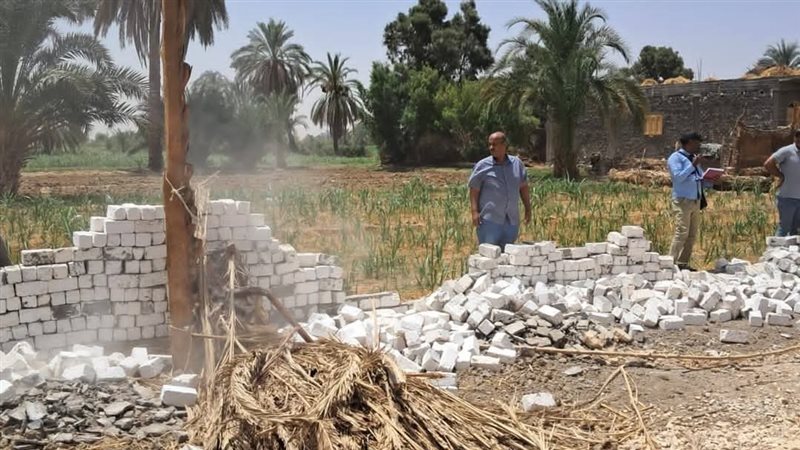ازالة تعديات بالأقصر 