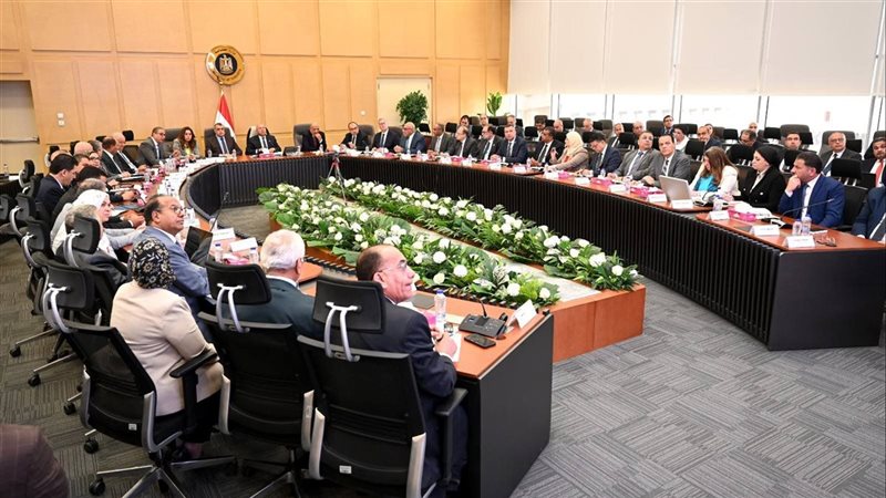 المجموعة الوزارية للتنمية الصناعية