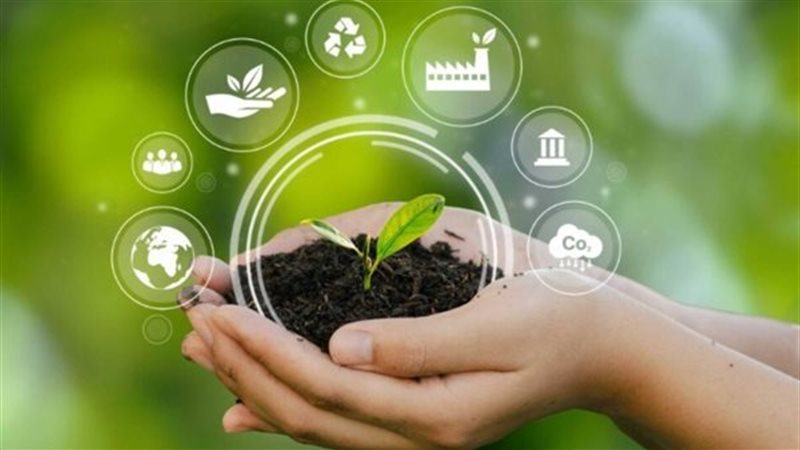 الاستكشافات البترولية