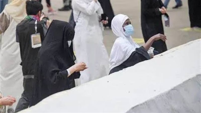 ارشيفية