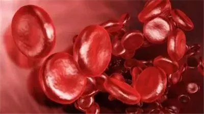 بعيدا عن الأدوية.. أكلات تساعد على التخلص من الأنيميا 