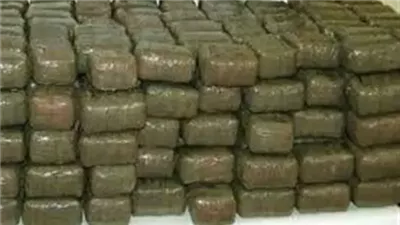 سقوط شقيقين بتهمة الاتجار في الحشيش بالصف.. وضبط سلاح ناري بحوزتهما