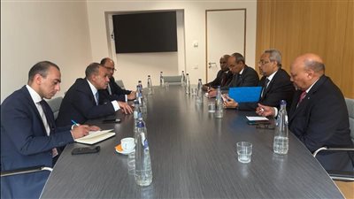 وزير الخارجية يؤكد لنظيره الجيبوتى أهمية تعزيز حجم التجارة بين البلدين 