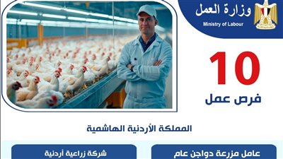  10 وظائف جديدة بالأردن في مجال تربية الدواجن.. تعرف عليها  