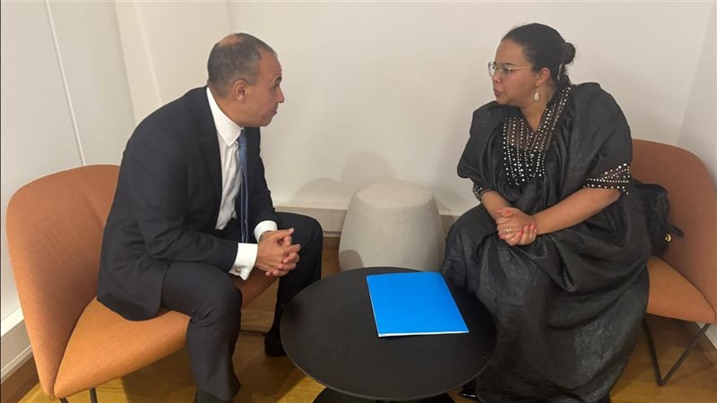 لقاء وزير الخارجية ونظيرته الكونغولية