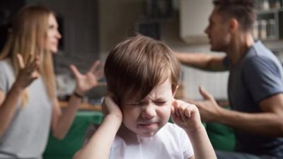 هل يبيح الإسلام العنف داخل الأسرة؟.. أستاذ فقه بالأزهر يوضح