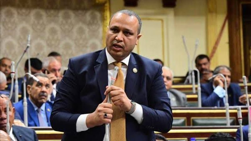 محمد السيد طلبة