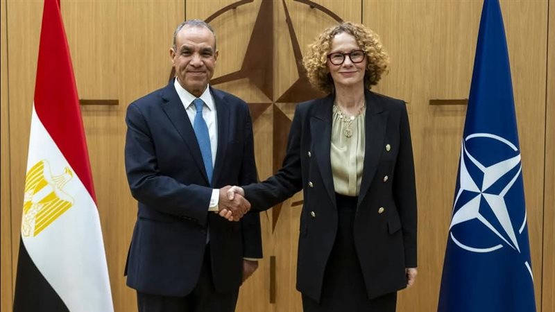 وزير الخارجية خلال اجتماعه مع مجلس حلف الشمال الأطلسى