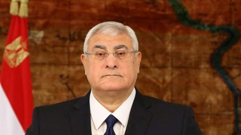 المستشار عدلي منصور