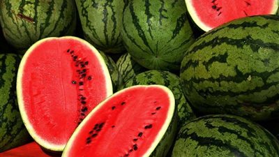بعد دخول فصل الصيف.. فئات محظورة من تناول البطيخ (ما هي؟)