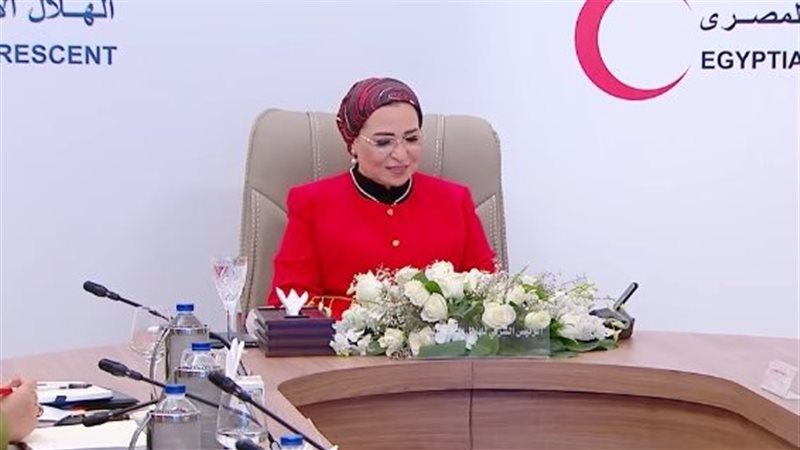 انتصار السيسي