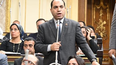 نائب «التنسيقية»: قوانين الانتخابات الجديدة اتسقت مع الدستور