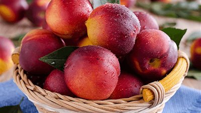 5 أضرار.. انتبه الإفراط في تناول الخوخ يؤدي للإصابة بالسرطان (تعرف عليها)