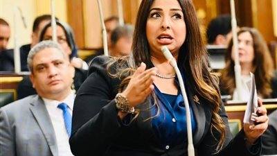 نائبة التنسيقية: القائمة المطلقة ضمانة حقيقية لتمثيل المرأة والشباب