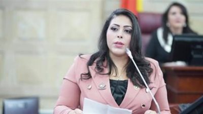 نائبة: إحباط المخطط الإرهابي اليوم يؤكد يقظة الدولة وصلابة أجهزتها الأمنية