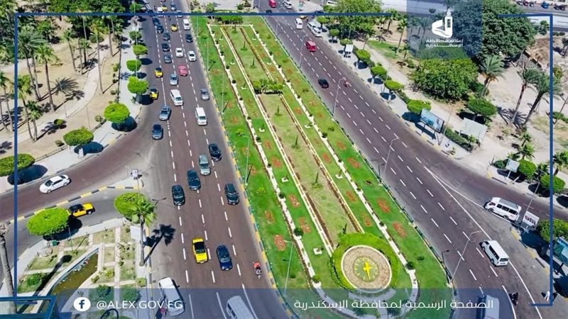 شوارع الإسكندرية 