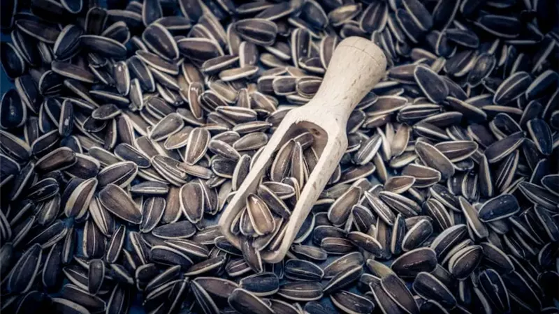 اللب السوري