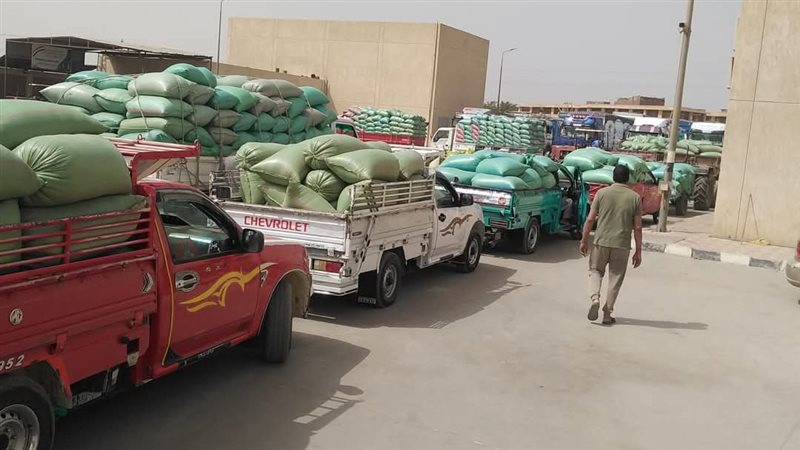 توريد القمح