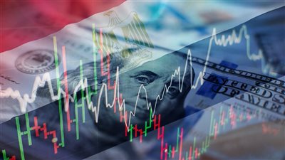 خبير: الصادرات الزراعية وتصنيع الغذاء ركيزة أساسية للاقتصاد المصري