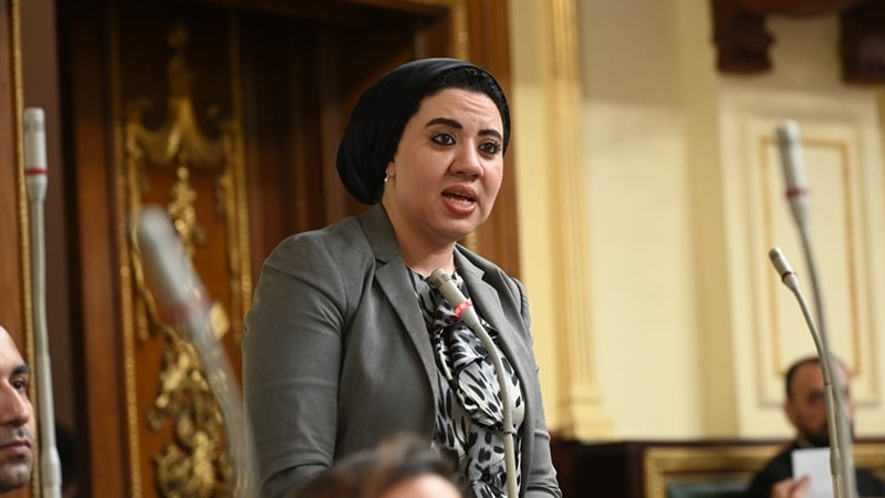 أميرة صابر