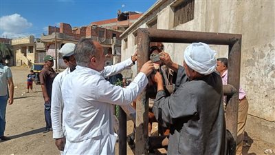 فحص 434 حيوانا و3730 طائرا خلال قافلة بيطرية مجانية بمحافطة الغربية