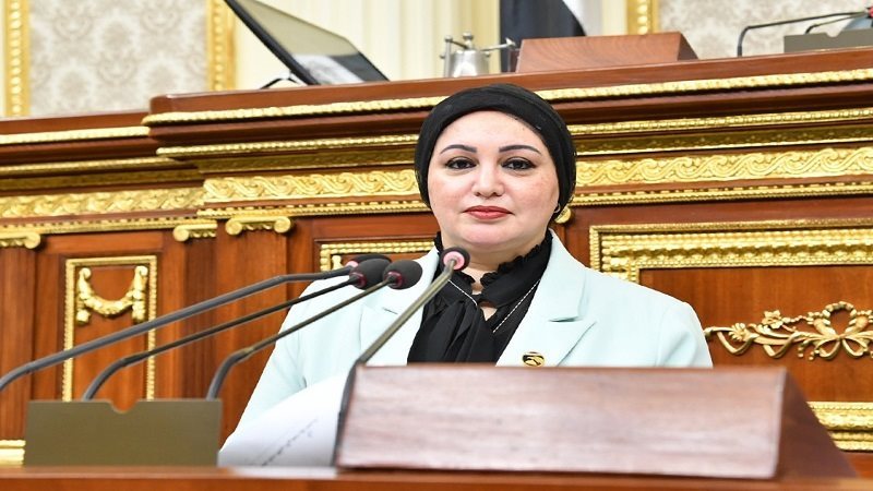  النائبة سولاف درويش 