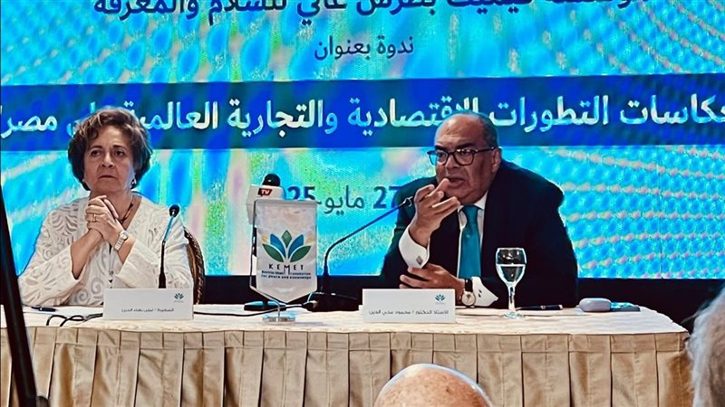 الدكتور محمود محيي الدين