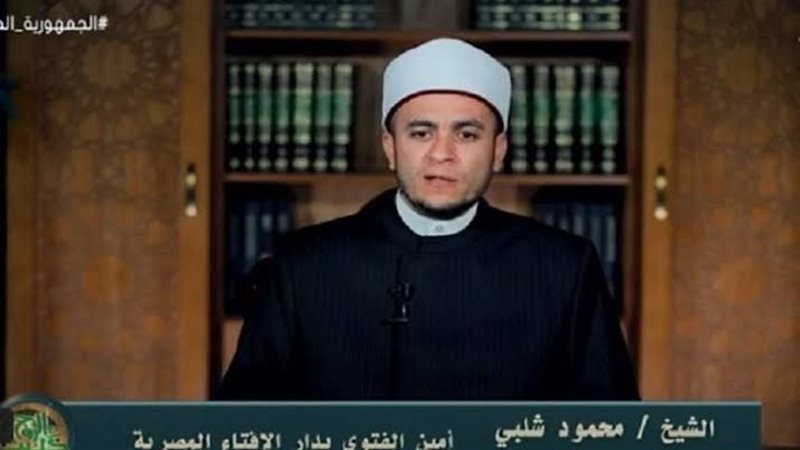 الدكتور محمود شلبي