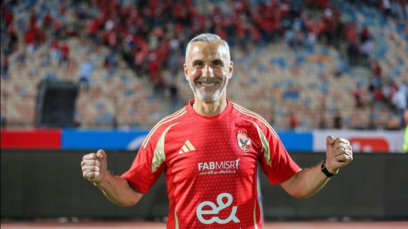 ميشيل يانكون