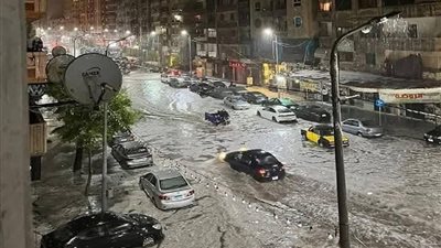 سقوط أعمدة وعقارات.. الحكومة توضح خسائر عاصفة الإسكندرية
