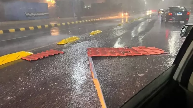 عاصفة الإسكندرية 