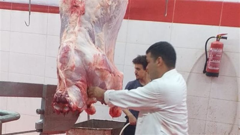 فتح المجاز مجاناً