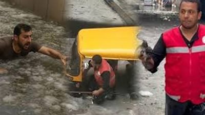 في قلب العاصفة.. قصة إنسانية تحكي بطولات الإسكندرية والسبب إنقاذ طائر وتوكتوك