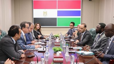 وزير الصحة يبحث مع وزير خارجية جامبيا تعزيز التعاون بالقطاع الصحي