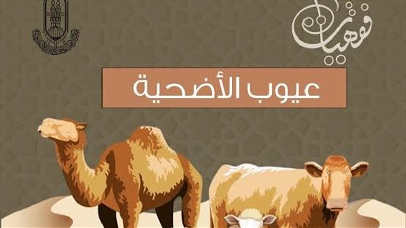 عيوب الاضحية
