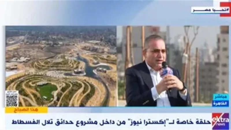 المهندس محمد حلمي