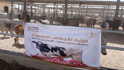 وزارة الأوقاف المصرية تواصل تسليم رؤوس الأضاحي المستوردة