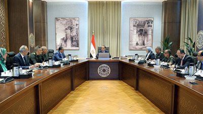 رئيس الوزراء يتابع الموقف التنفيذي لأعمال التغذية الكهربائية للدلتا الجديدة