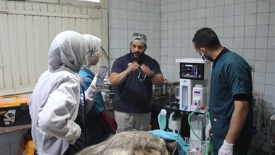  تطوير شامل بقيادة التحالف الوطني.. حديقة الحيوان بالجيزة على طريق التصنيف الدولي