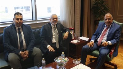 وزير الكهرباء يبحث مع شركة إماراتية زيادة الاستثمارات في مصر