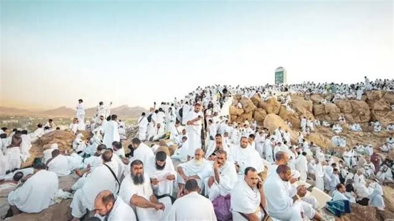 ارشيفية